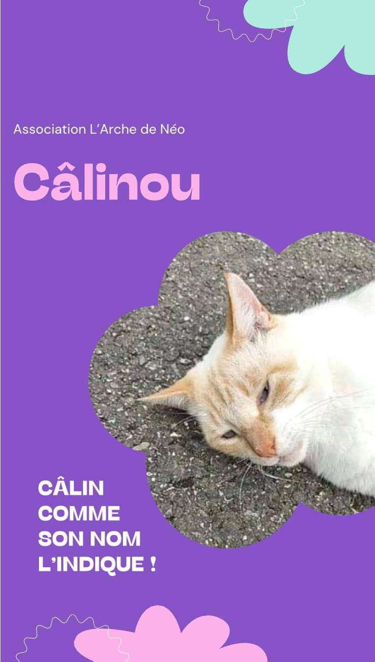 Calinou