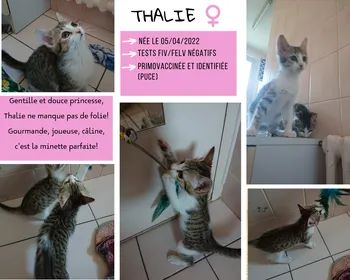 Thalie