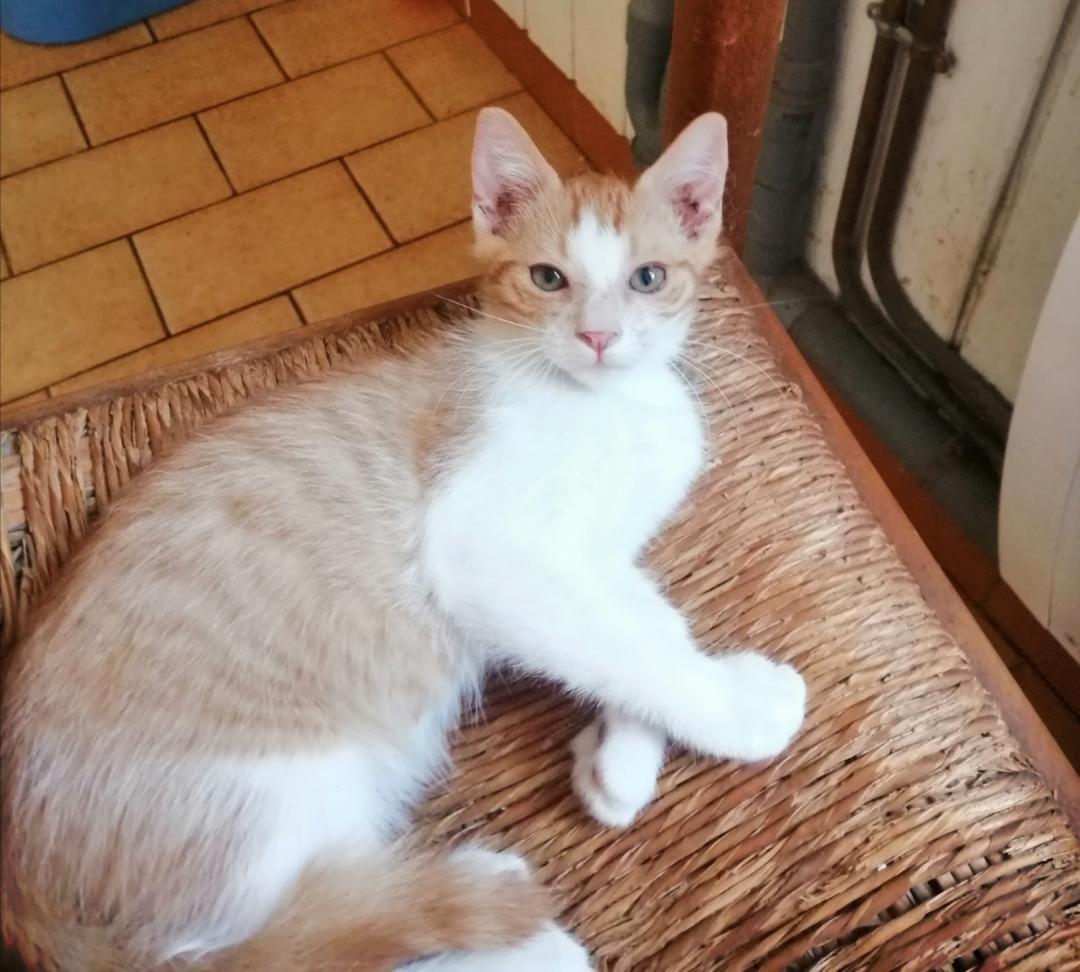 Lulu