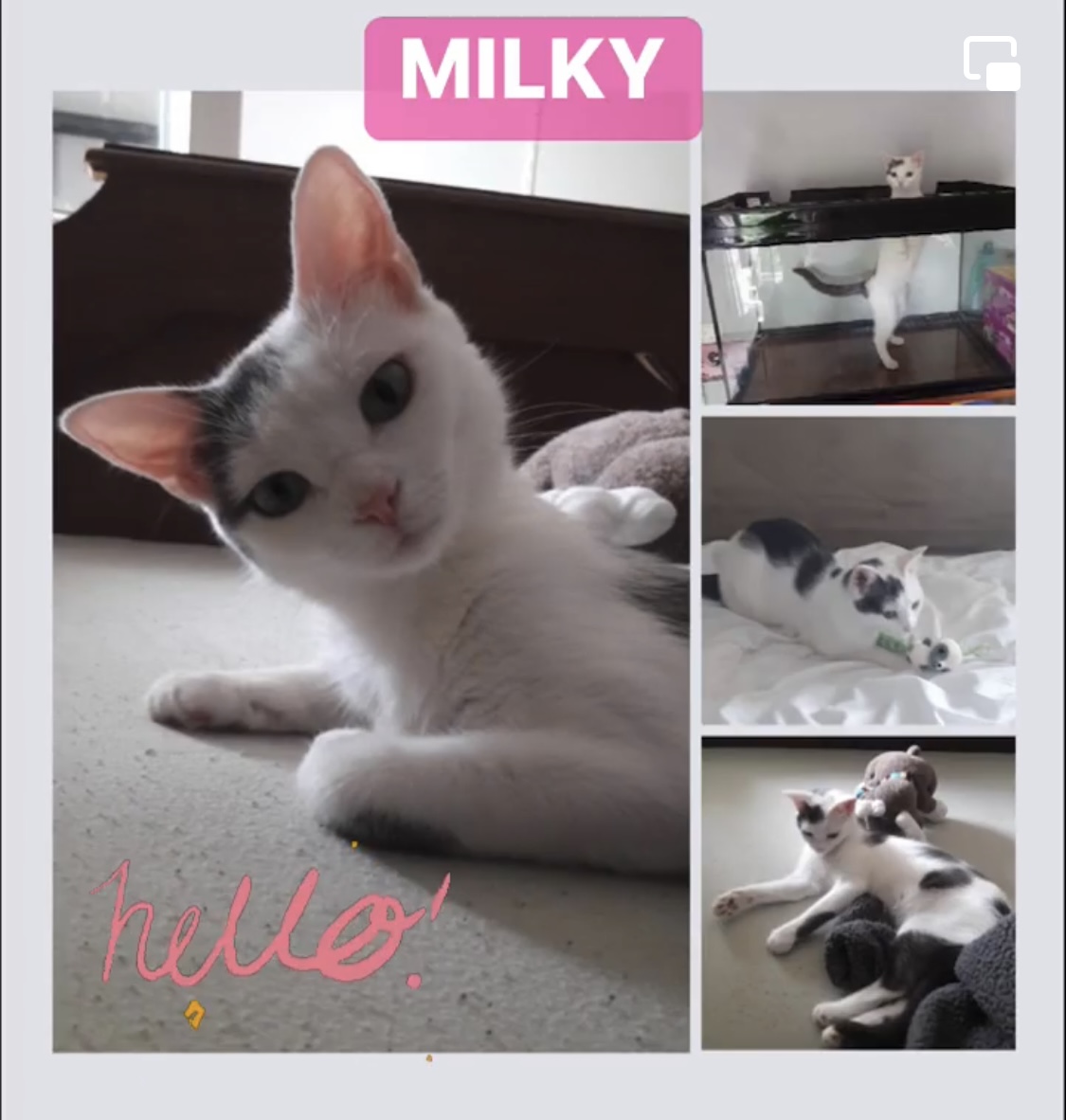 Milky