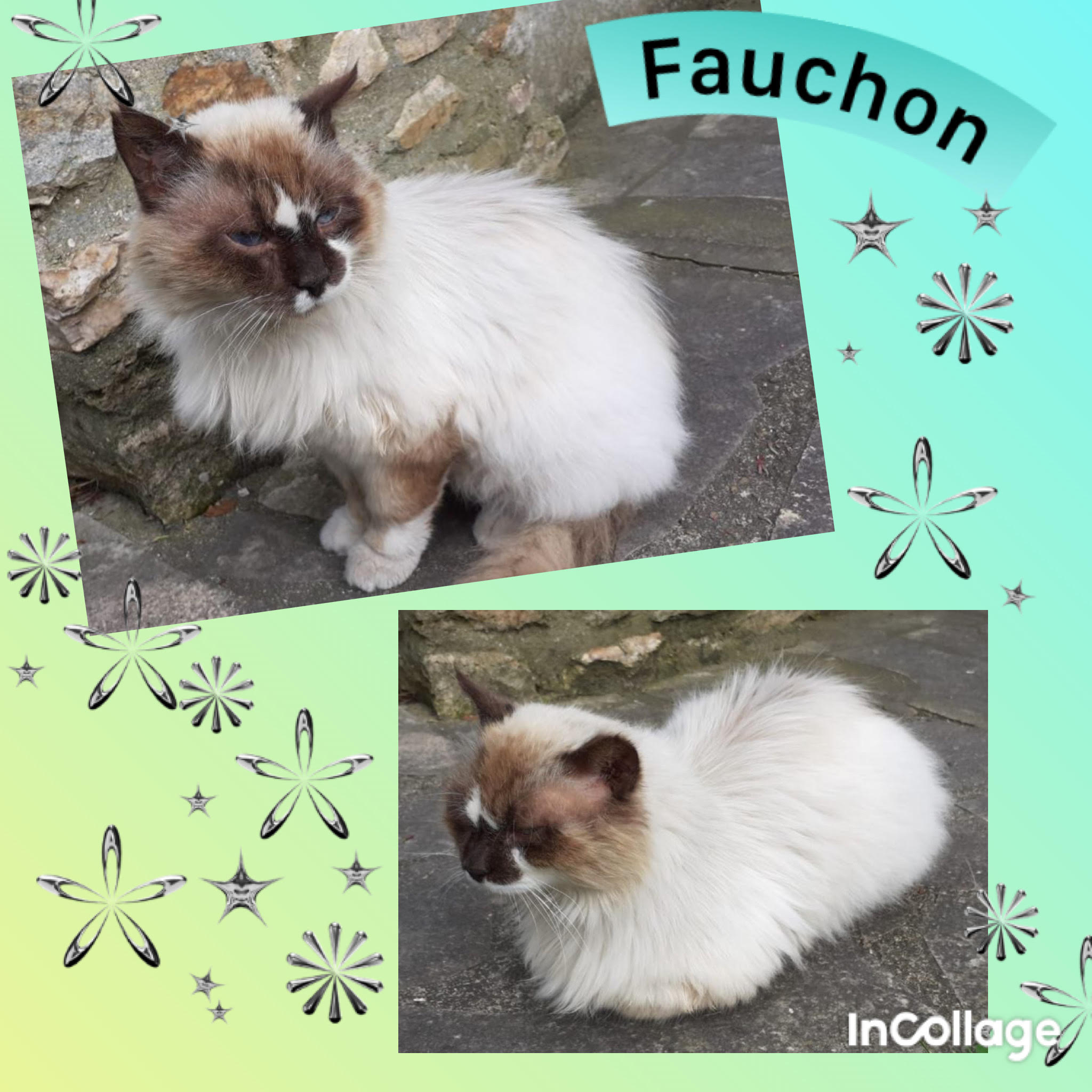 Fauchon