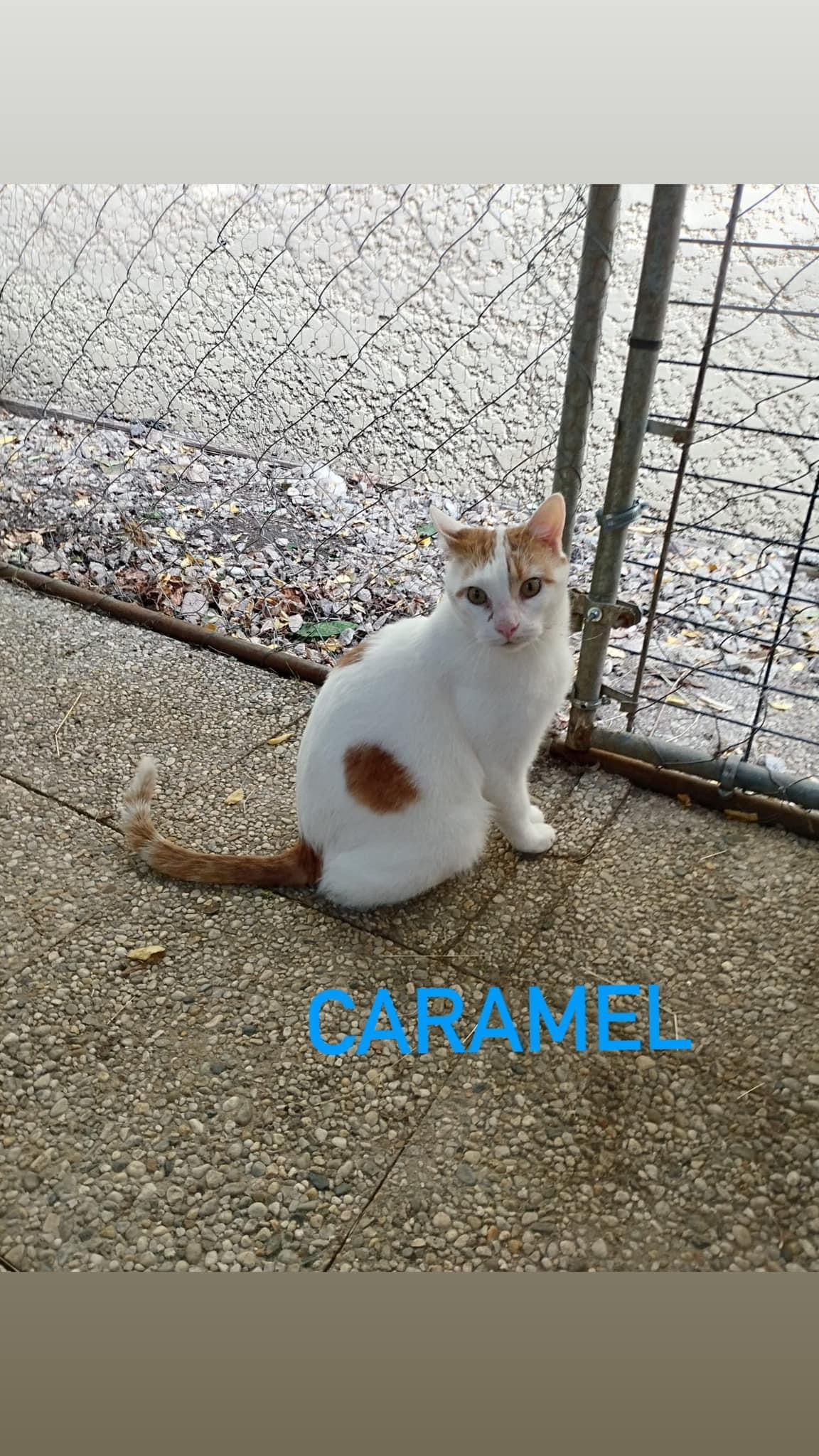 Caramel 