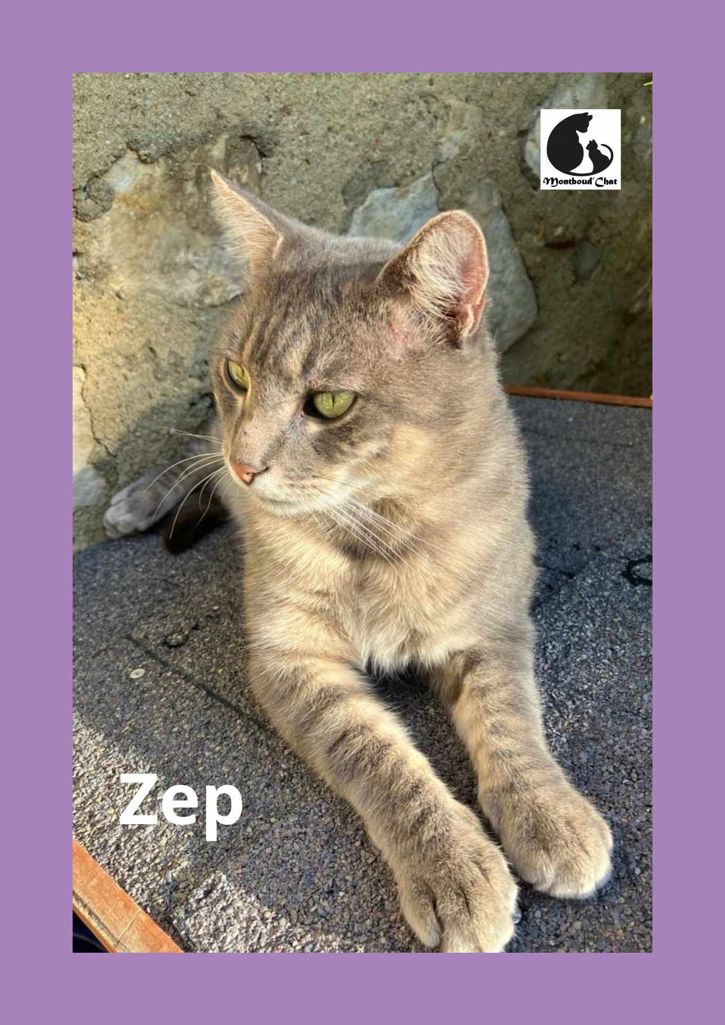 Zep