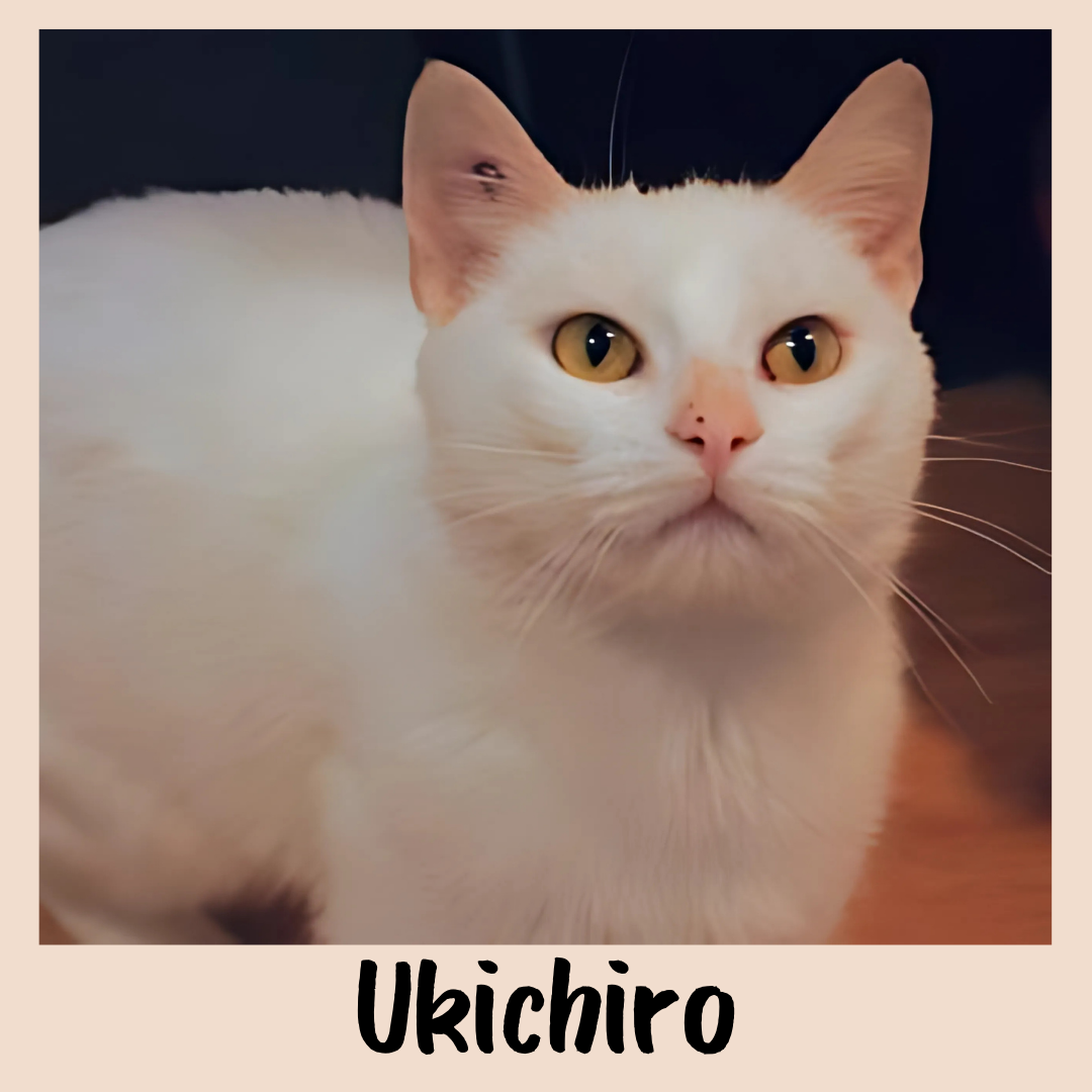 Ukichiro