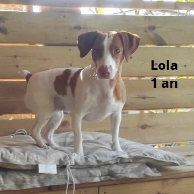 Lola