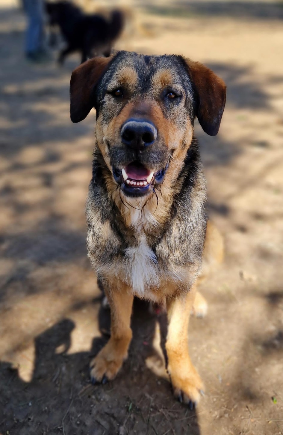 RAGNAR