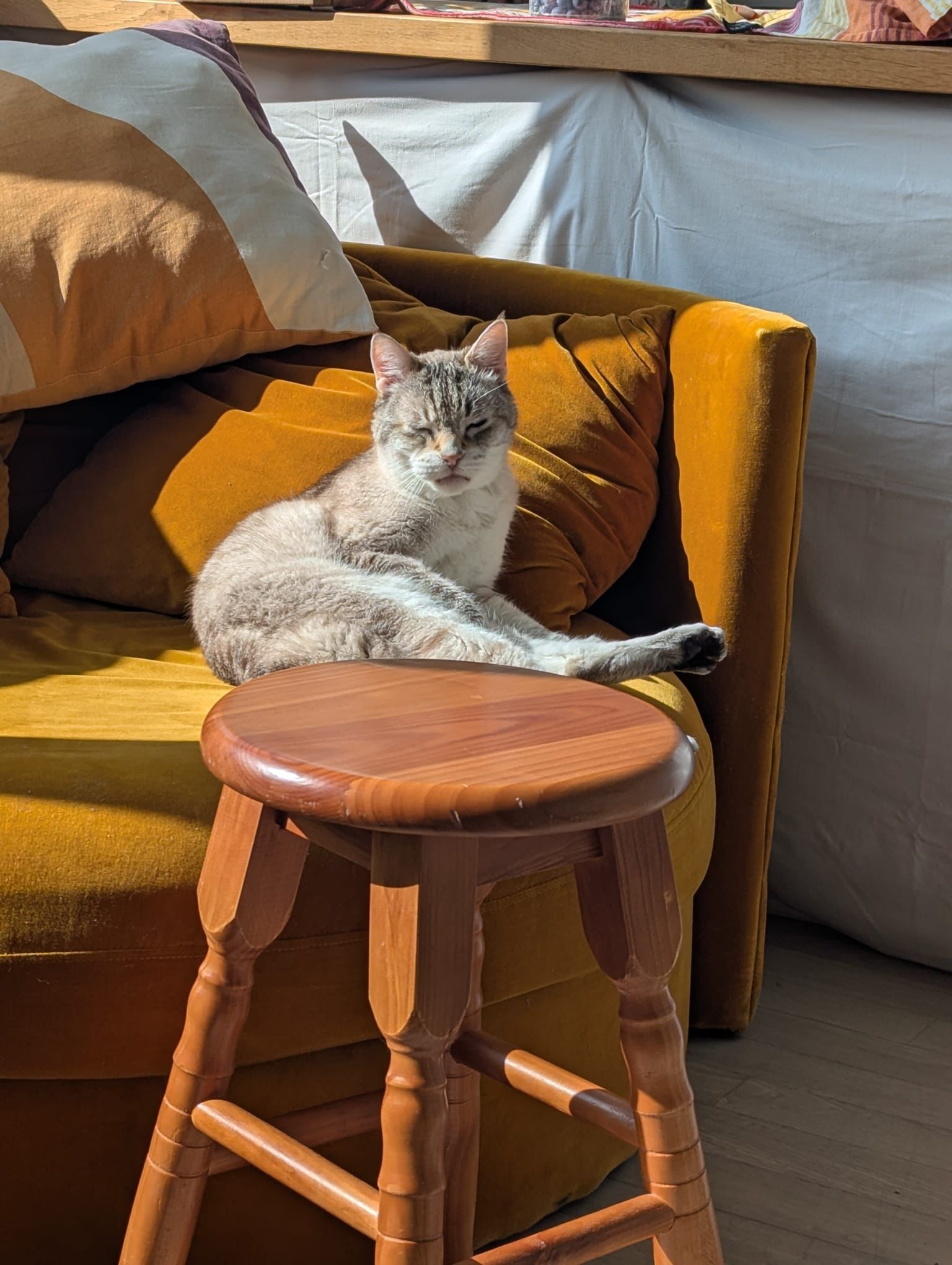 Django
