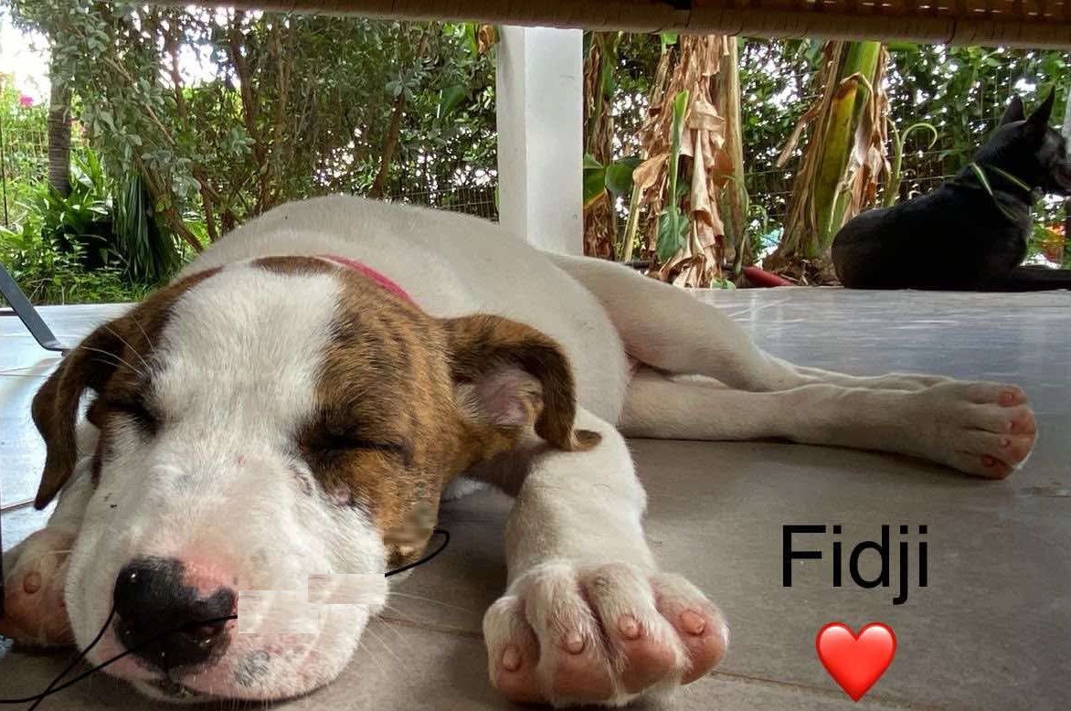 FIDJI