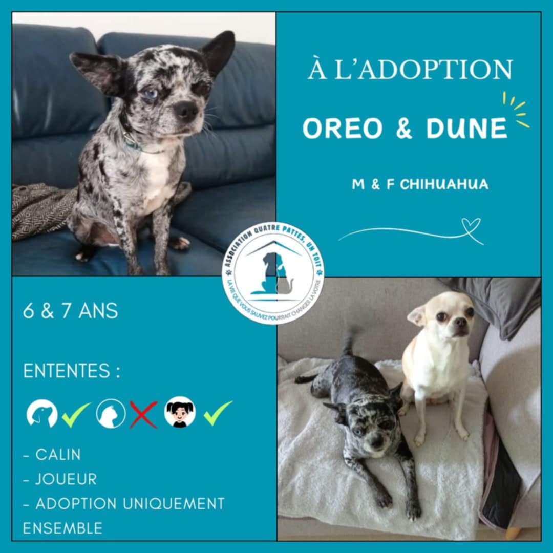 Oréo et Dune
