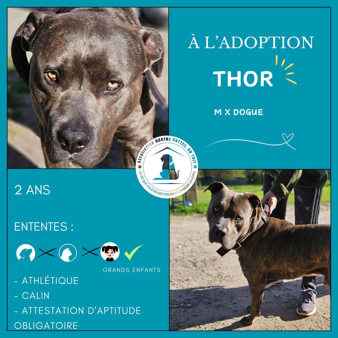 Thor