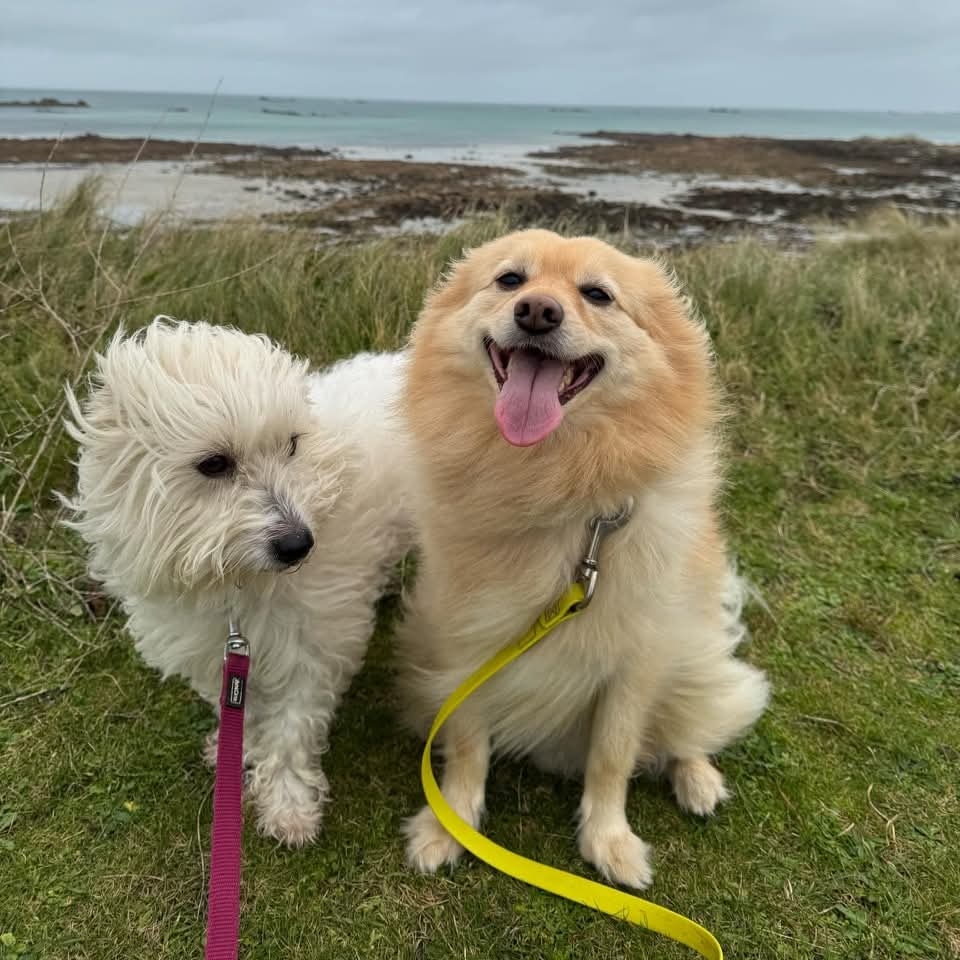 Mady et rocket