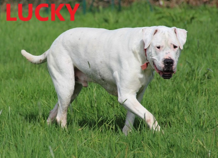 LUCKY 2