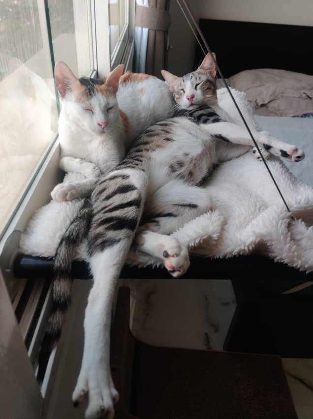 Smokey & Mia