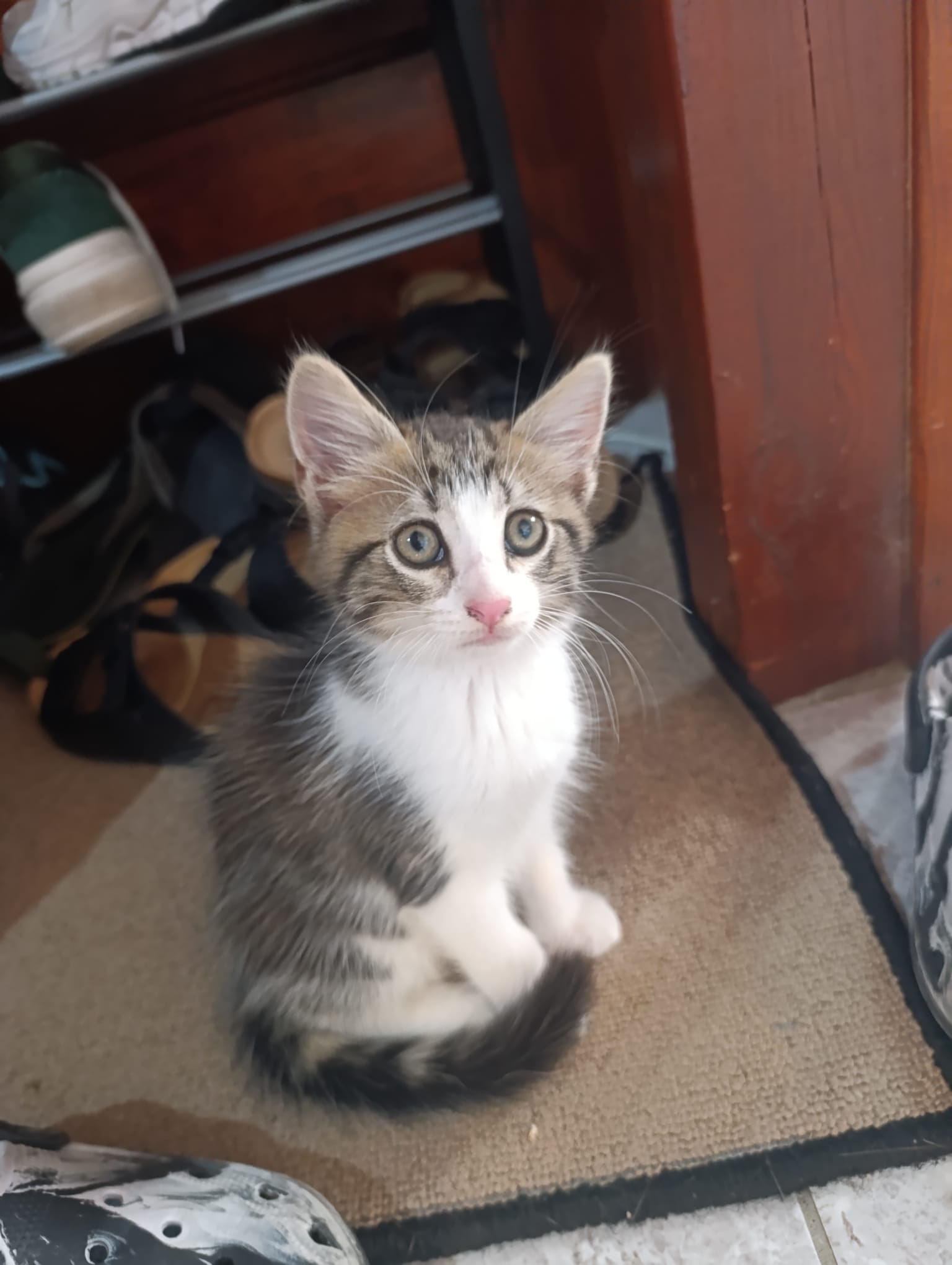 ELIOT