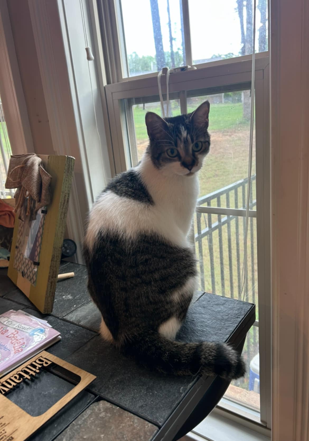 Cleo